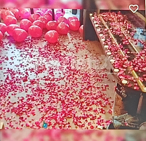 Round Balloon Backdrop