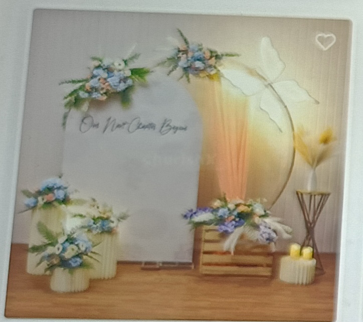 Butterfly & Beautiful Colors Decor on Engagement/Roka Ceremony